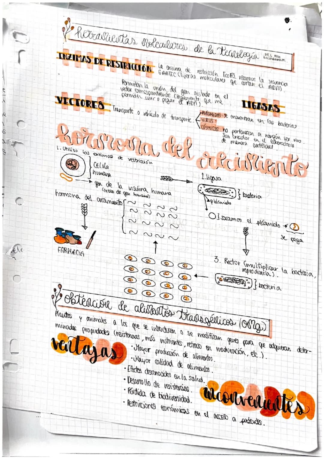 Selea
و دة ا
la e
1. Iv
no
2. §
3.
Da
la
O
J
P
f
r
GENES
y su manipulacion
Acidos nucleicos
DENTOSA Ribosa: ácido nocleico (ARM).
·Pesoxirib