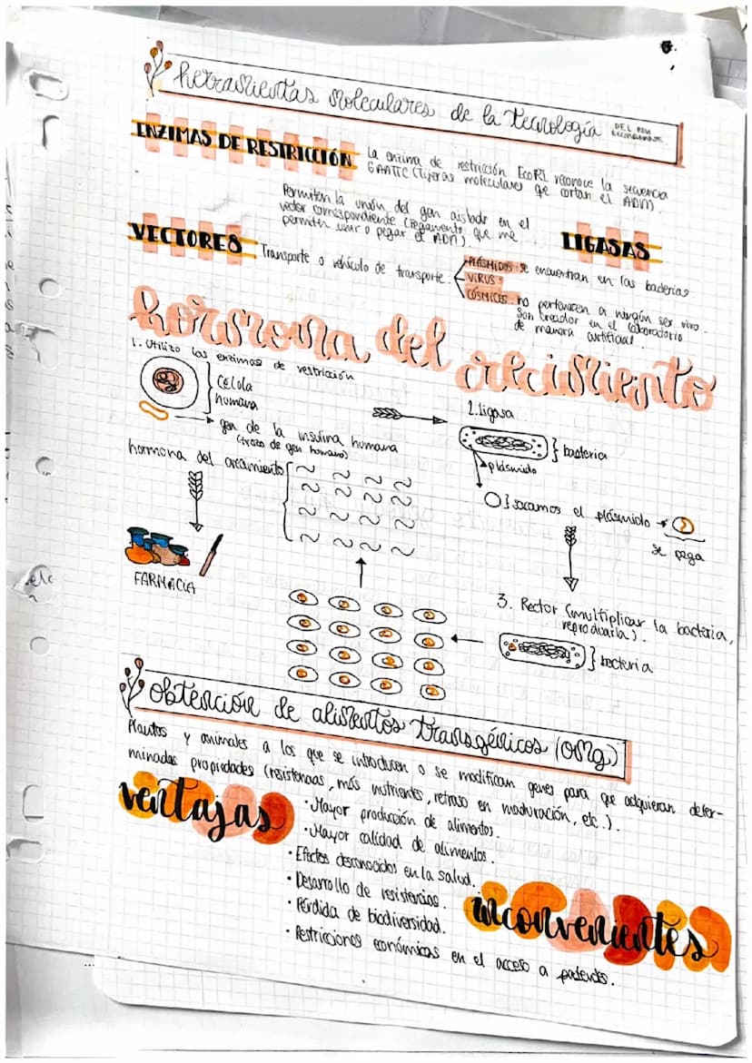 Selea
و دة ا
la e
1. Iv
no
2. §
3.
Da
la
O
J
P
f
r
GENES
y su manipulacion
Acidos nucleicos
DENTOSA Ribosa: ácido nocleico (ARM).
·Pesoxirib