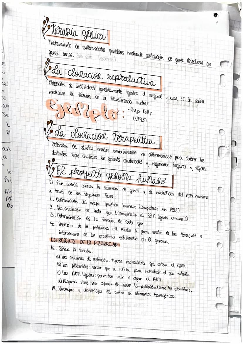 Selea
و دة ا
la e
1. Iv
no
2. §
3.
Da
la
O
J
P
f
r
GENES
y su manipulacion
Acidos nucleicos
DENTOSA Ribosa: ácido nocleico (ARM).
·Pesoxirib