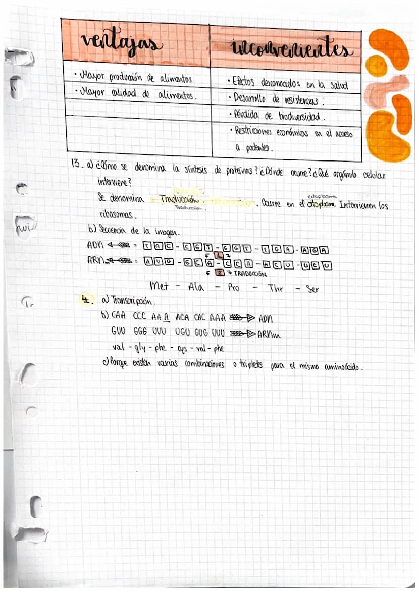 Selea
و دة ا
la e
1. Iv
no
2. §
3.
Da
la
O
J
P
f
r
GENES
y su manipulacion
Acidos nucleicos
DENTOSA Ribosa: ácido nocleico (ARM).
·Pesoxirib