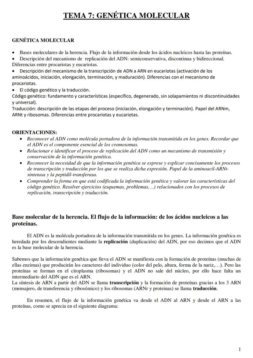 
<h2 id="labasemoleculardelaherenciaen2bachillerato">La base molecular de la herencia en 2º bachillerato</h2>
<h3 id="qusonlasbasesmolecular