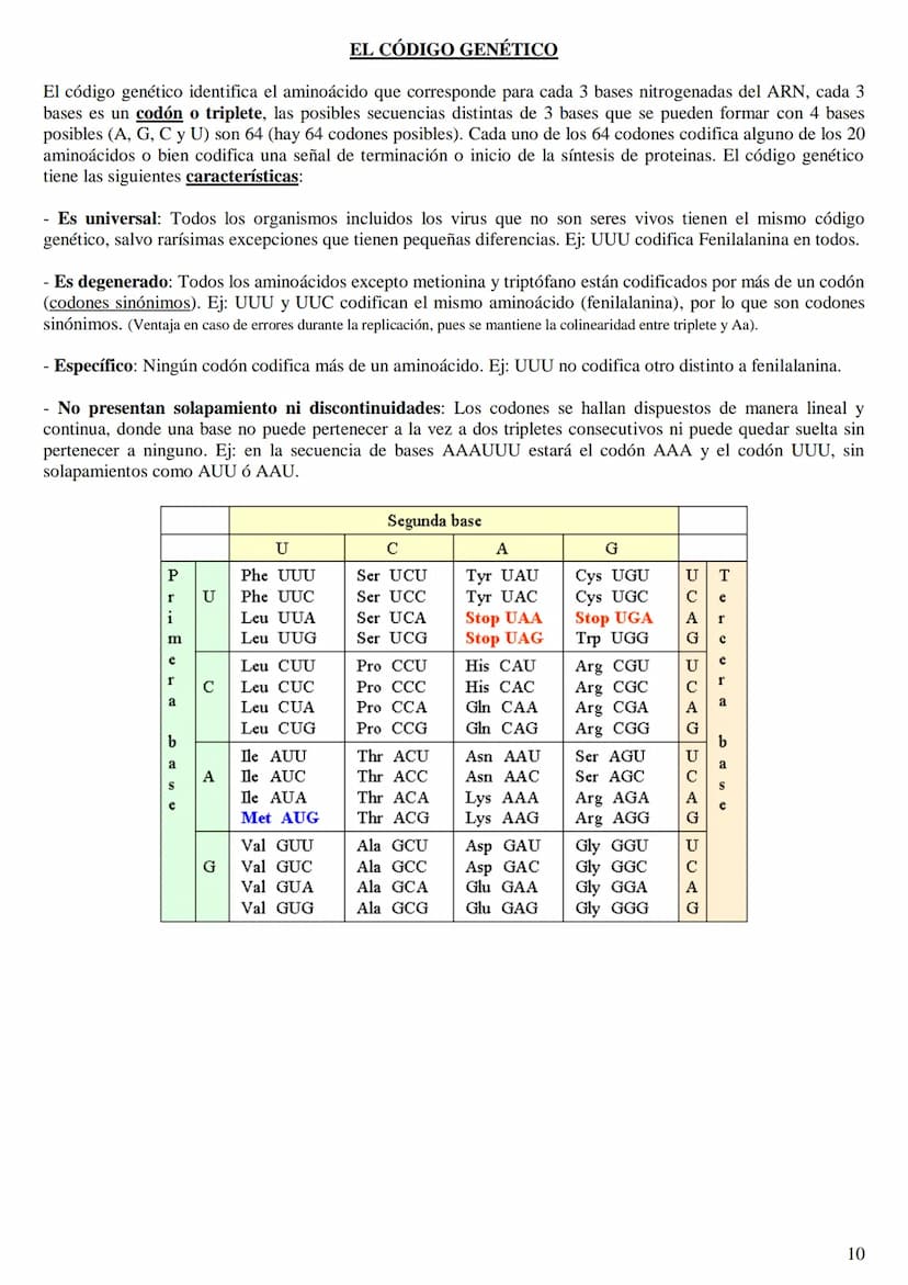 
<h2 id="labasemoleculardelaherenciaen2bachillerato">La base molecular de la herencia en 2º bachillerato</h2>
<h3 id="qusonlasbasesmolecular