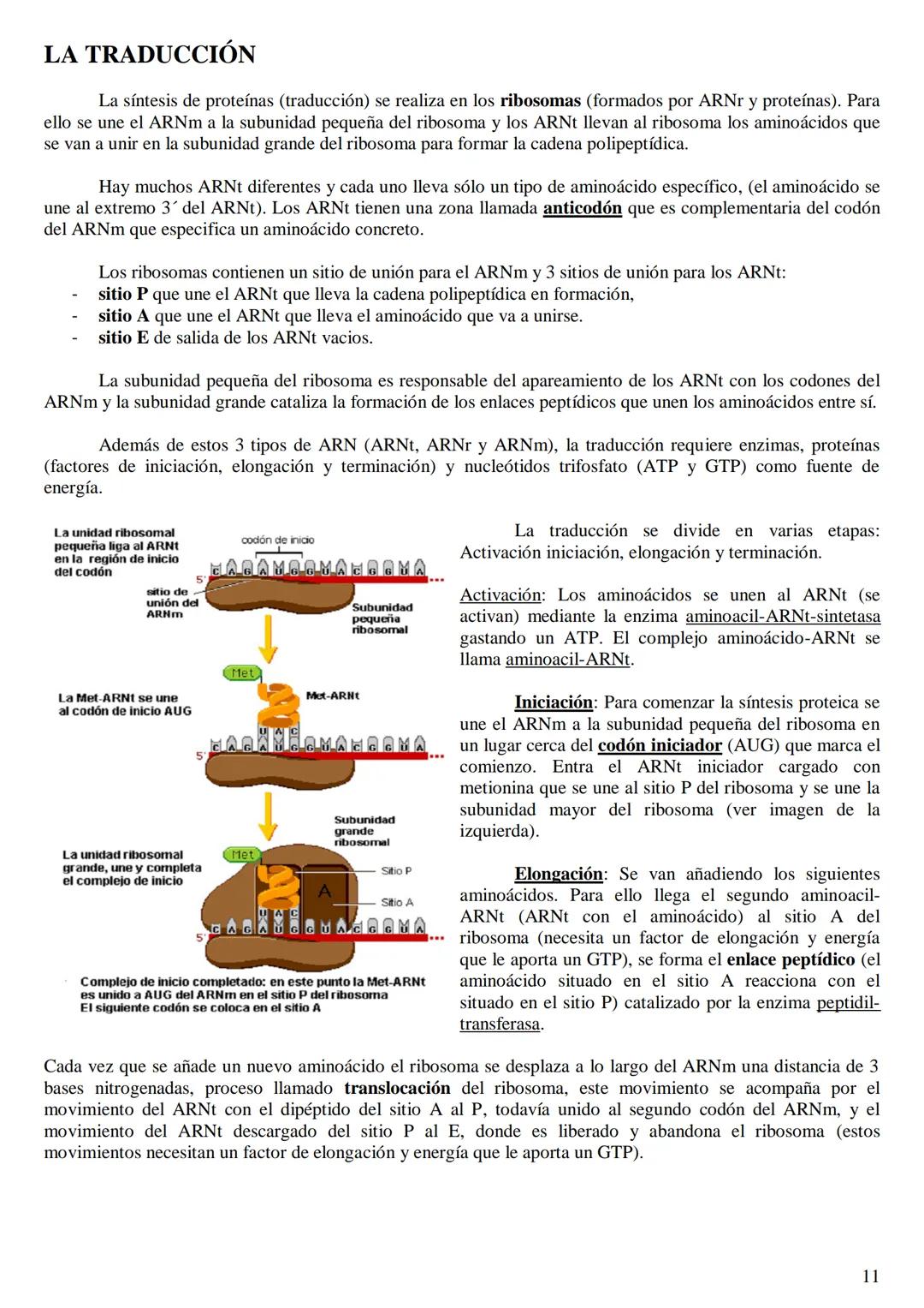 
<h2 id="labasemoleculardelaherenciaen2bachillerato">La base molecular de la herencia en 2º bachillerato</h2>
<h3 id="qusonlasbasesmolecular