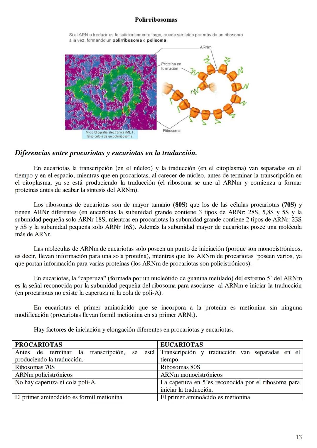 
<h2 id="labasemoleculardelaherenciaen2bachillerato">La base molecular de la herencia en 2º bachillerato</h2>
<h3 id="qusonlasbasesmolecular