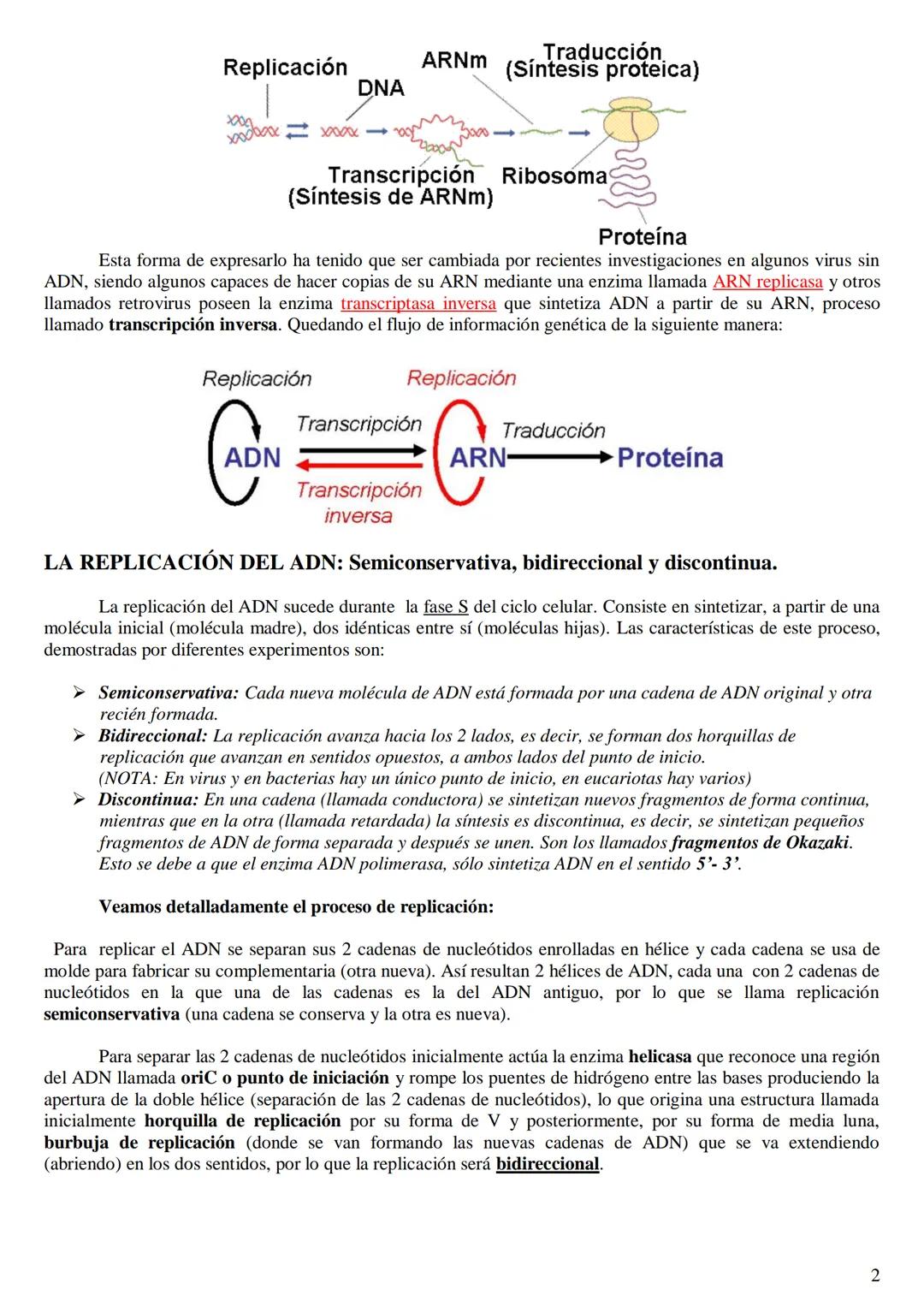 
<h2 id="labasemoleculardelaherenciaen2bachillerato">La base molecular de la herencia en 2º bachillerato</h2>
<h3 id="qusonlasbasesmolecular