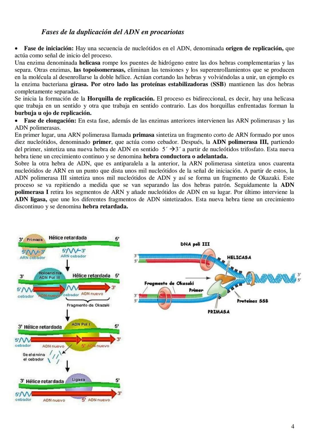 
<h2 id="labasemoleculardelaherenciaen2bachillerato">La base molecular de la herencia en 2º bachillerato</h2>
<h3 id="qusonlasbasesmolecular