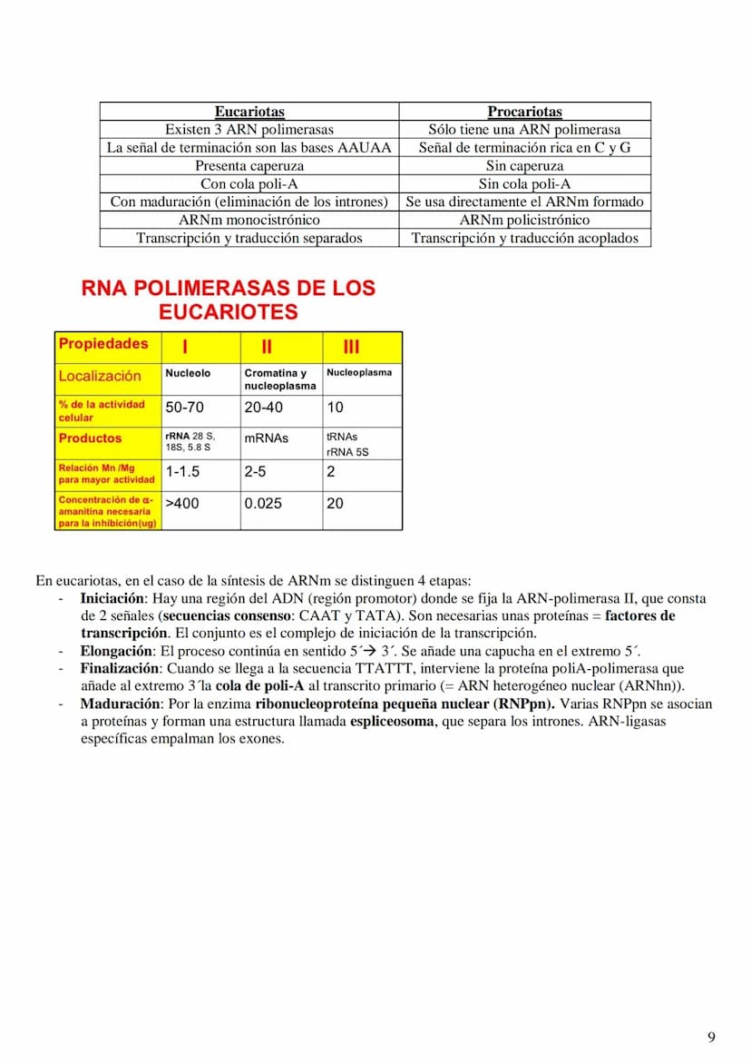 
<h2 id="labasemoleculardelaherenciaen2bachillerato">La base molecular de la herencia en 2º bachillerato</h2>
<h3 id="qusonlasbasesmolecular