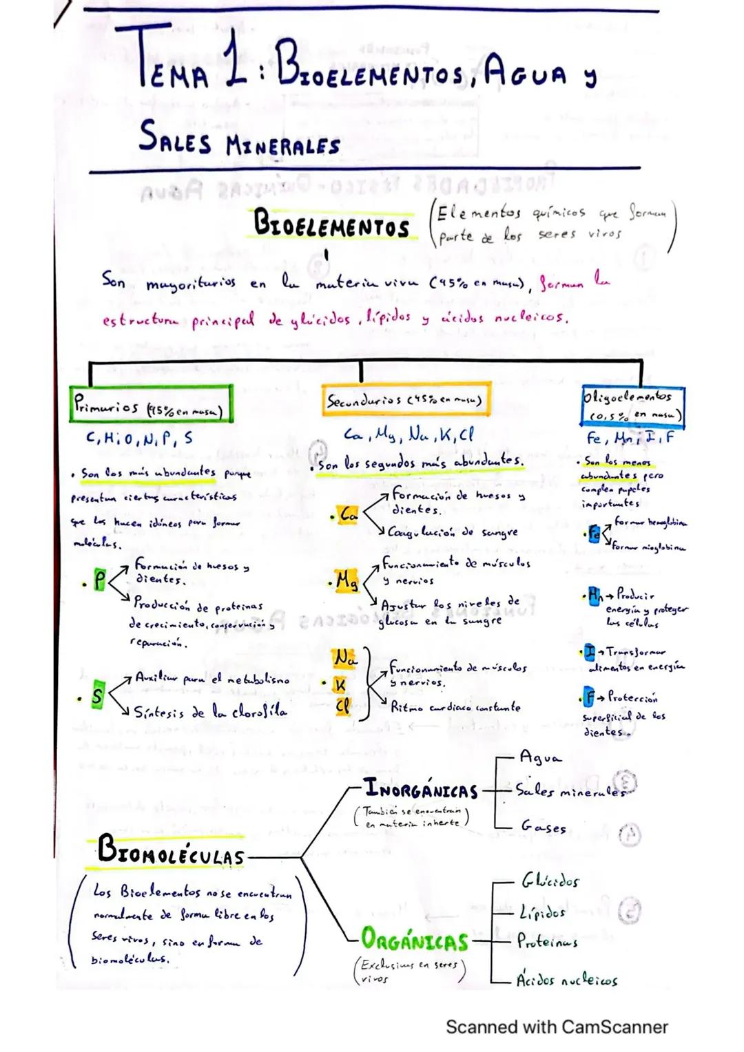 Bioelementos Importantes, Agua y Sales Minerales en la Vida