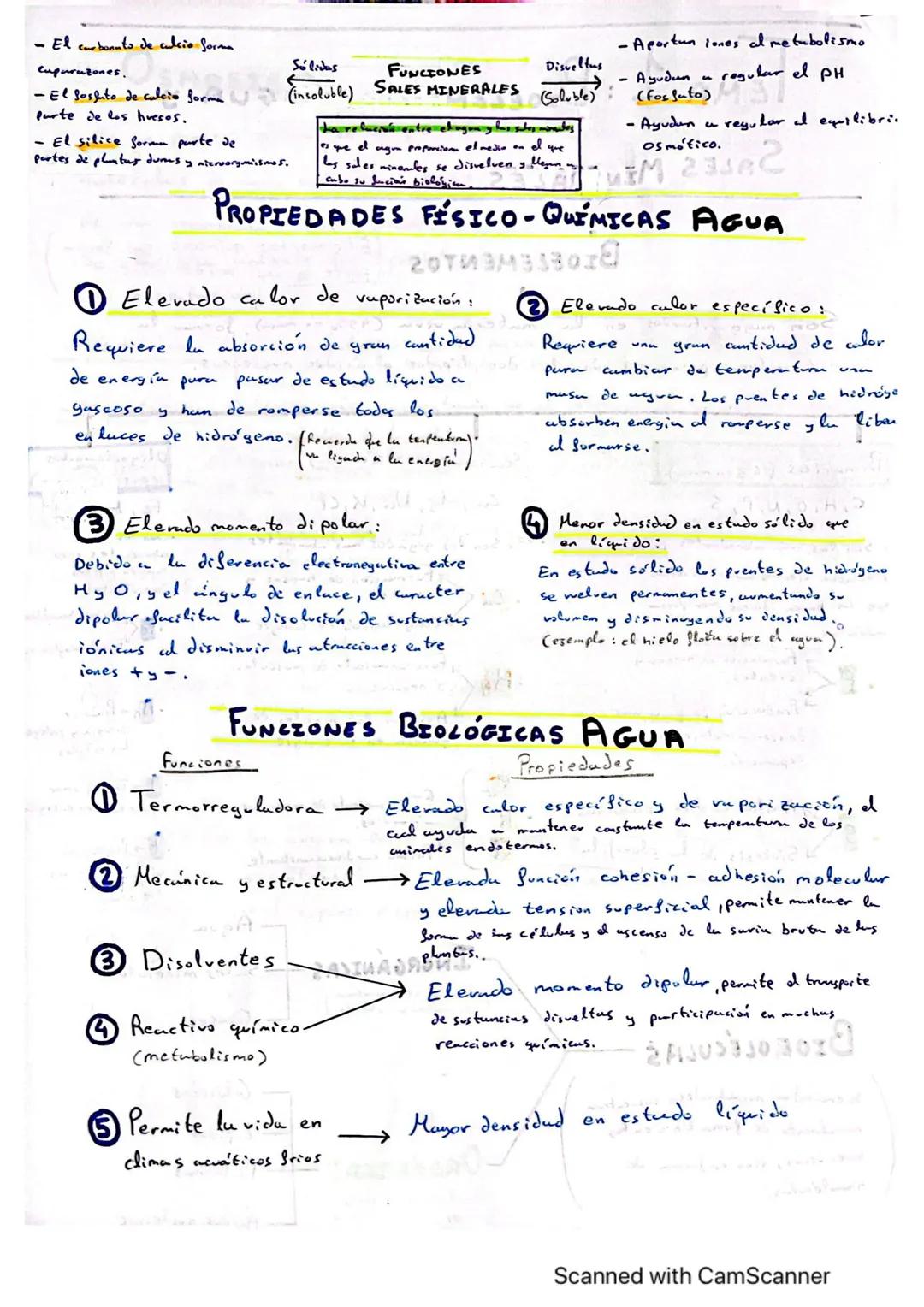 TEMA 1: BIOELEMENTOS, AGUA Y
SALES MINERALES
AUDA ZÁSZ-Oazast: 230A83081
Elementos químicos que forman
BIOELEMENTOS Parte de los seres vivos