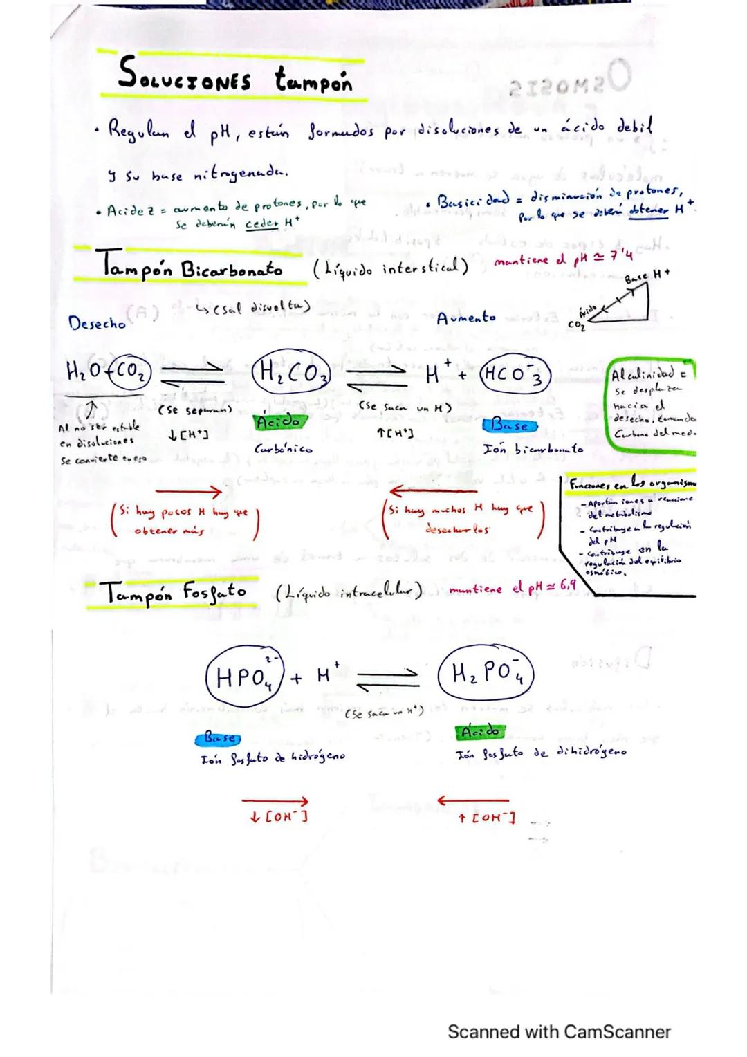 TEMA 1: BIOELEMENTOS, AGUA Y
SALES MINERALES
AUDA ZÁSZ-Oazast: 230A83081
Elementos químicos que forman
BIOELEMENTOS Parte de los seres vivos