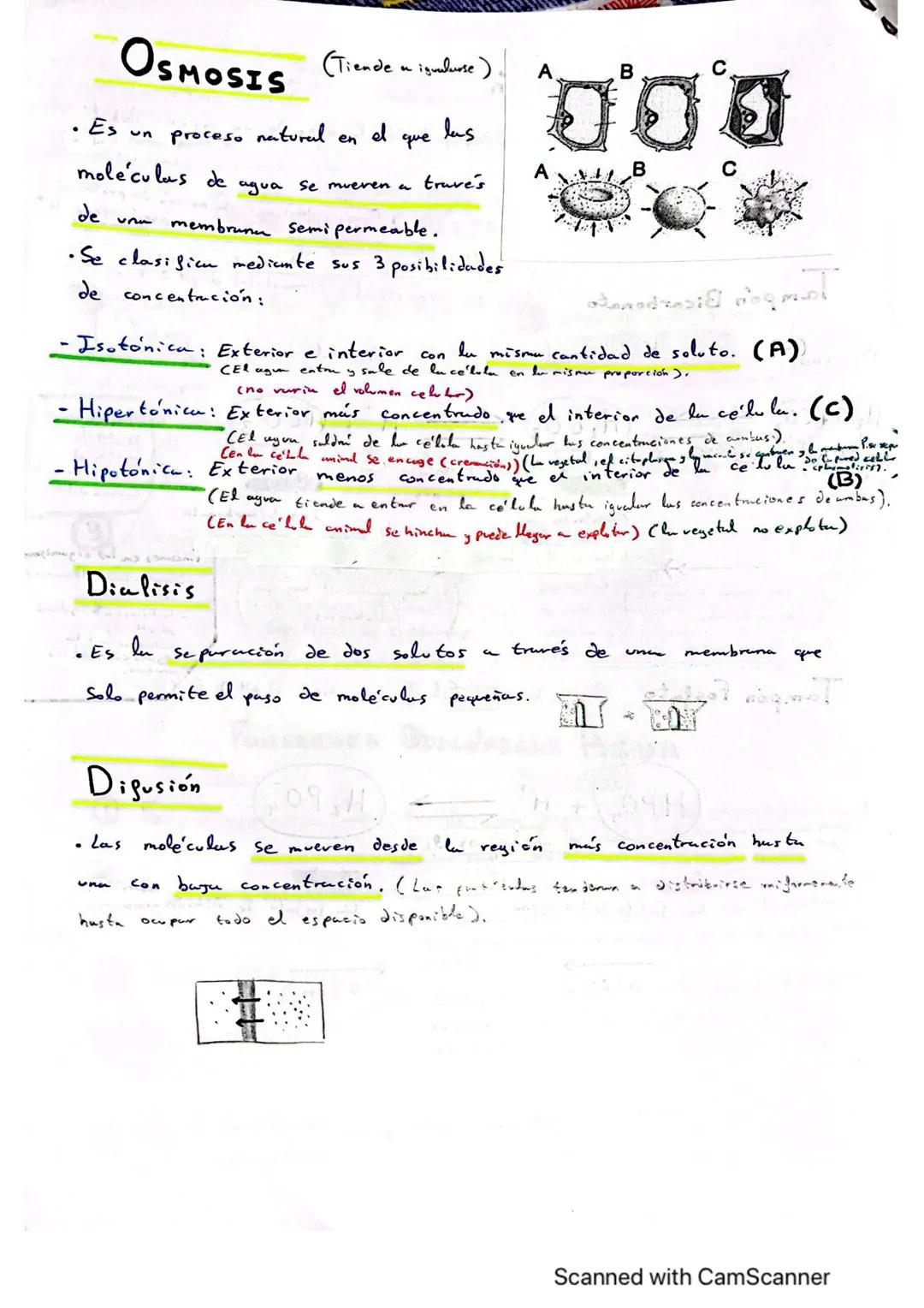 TEMA 1: BIOELEMENTOS, AGUA Y
SALES MINERALES
AUDA ZÁSZ-Oazast: 230A83081
Elementos químicos que forman
BIOELEMENTOS Parte de los seres vivos