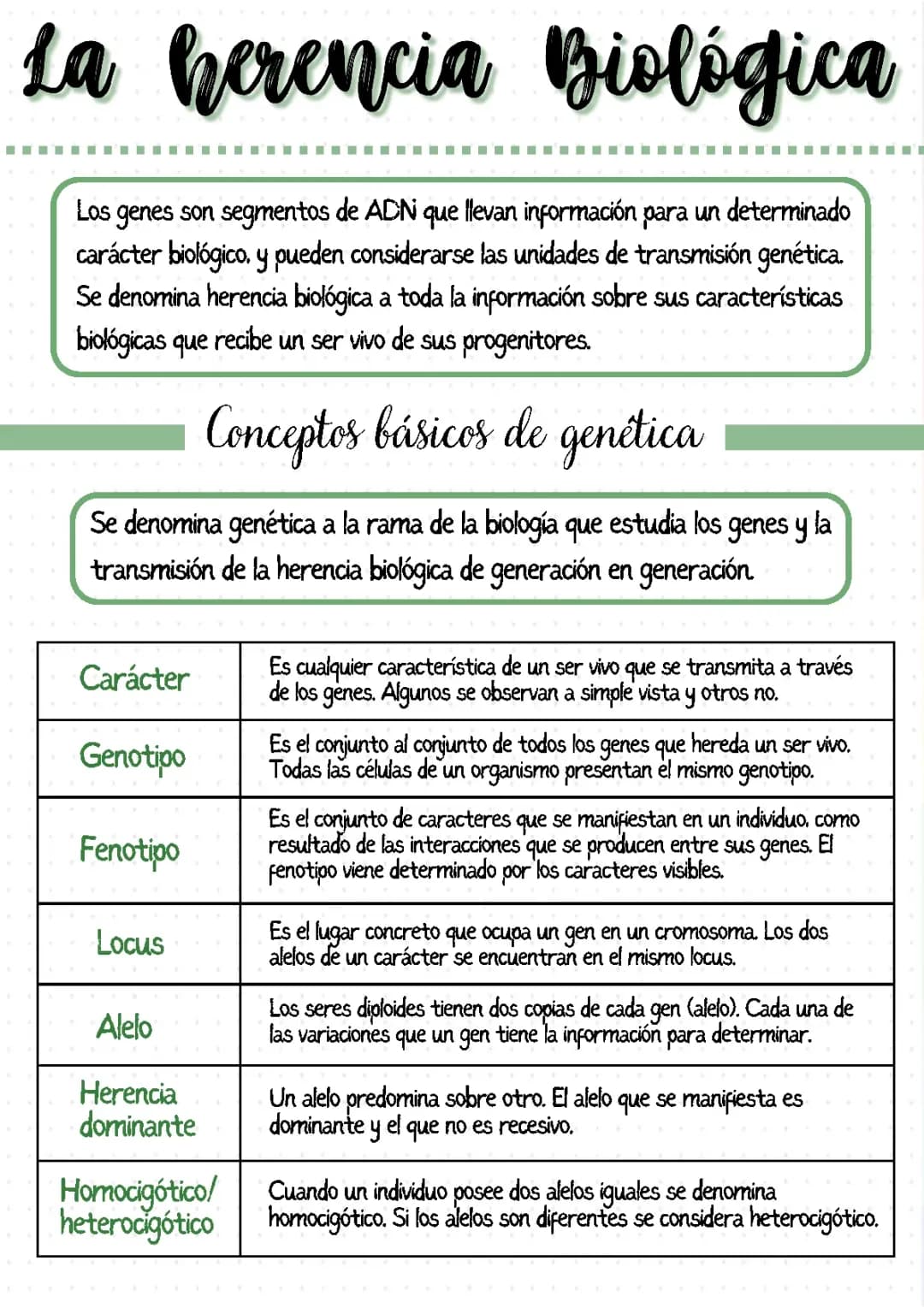 Todo sobre las leyes de Mendel y la genética humana