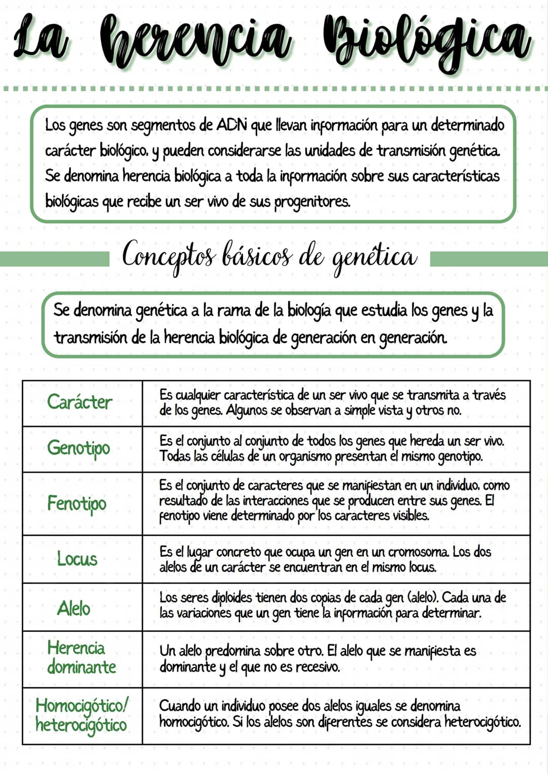 
<p>Los genes son segmentos de ADN que llevan información para un determinado carácter biológico, y pueden considerarse las unidades de tran