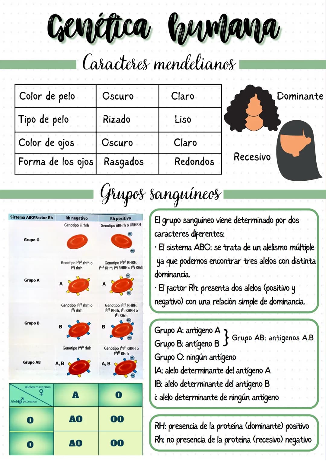 
<p>Los genes son segmentos de ADN que llevan información para un determinado carácter biológico, y pueden considerarse las unidades de tran