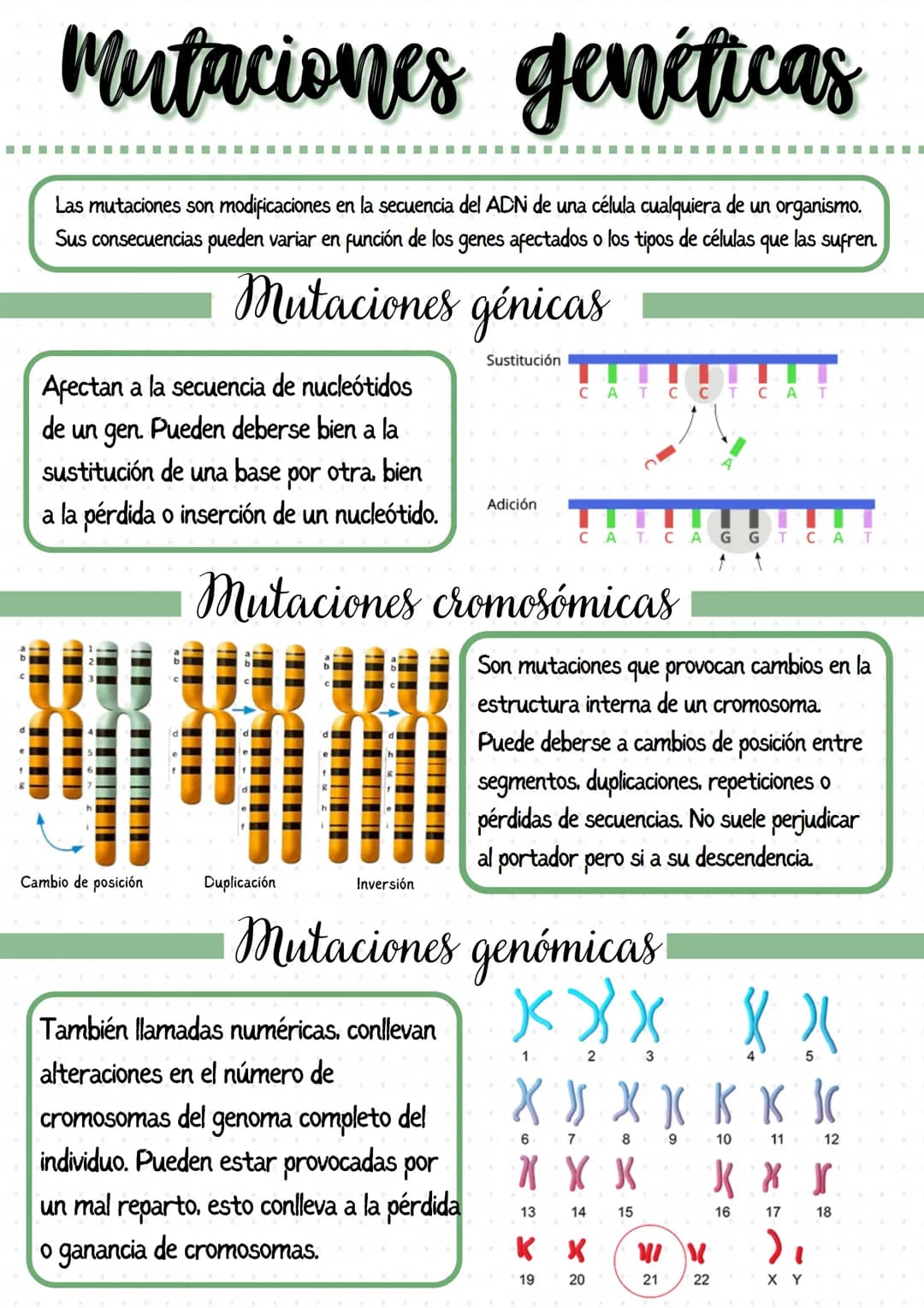 
<p>Los genes son segmentos de ADN que llevan información para un determinado carácter biológico, y pueden considerarse las unidades de tran