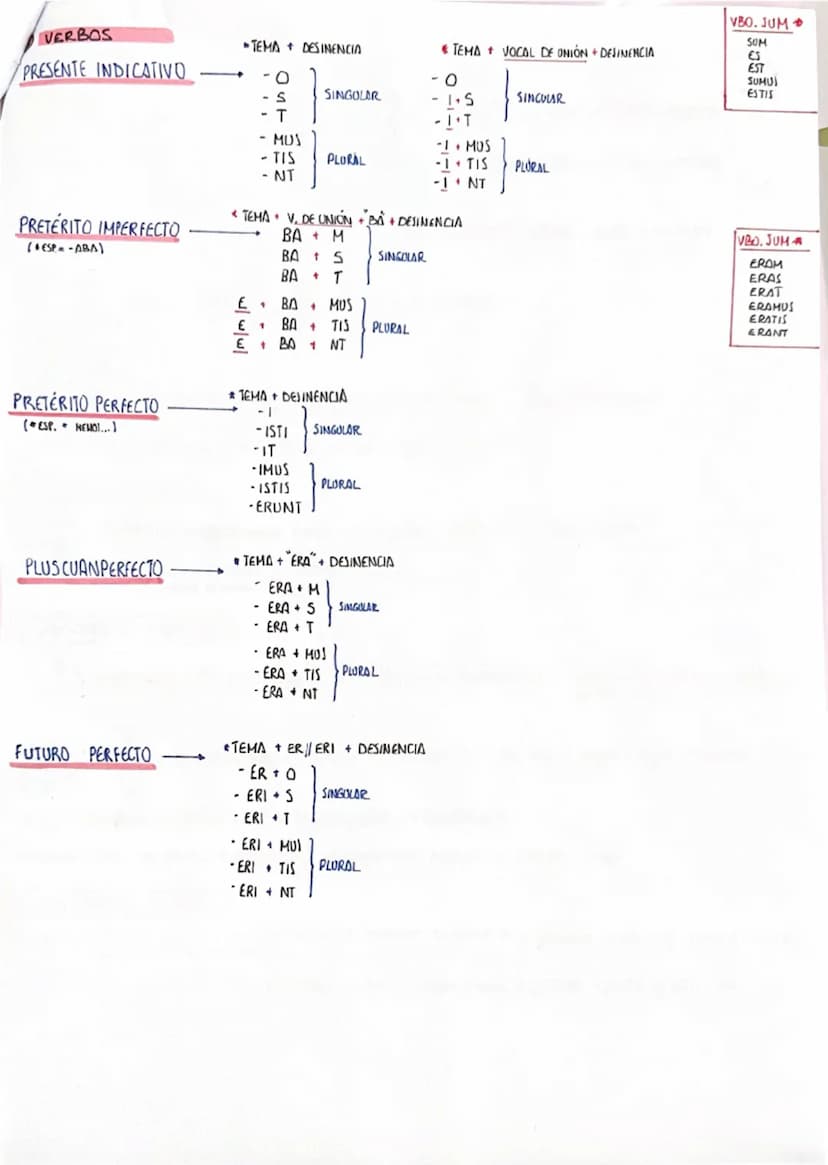 LATIN
①FUNCIONES SINTÁCTICAS
⚫NOMINATIVO
•VOCATIVO
ACUSATIVO
GENITIVO
DATIVO
ABLATIVO
SUJETO ATRIBUTO
APELACIÓN
• C.D // PREP. + ACC. = C.C 