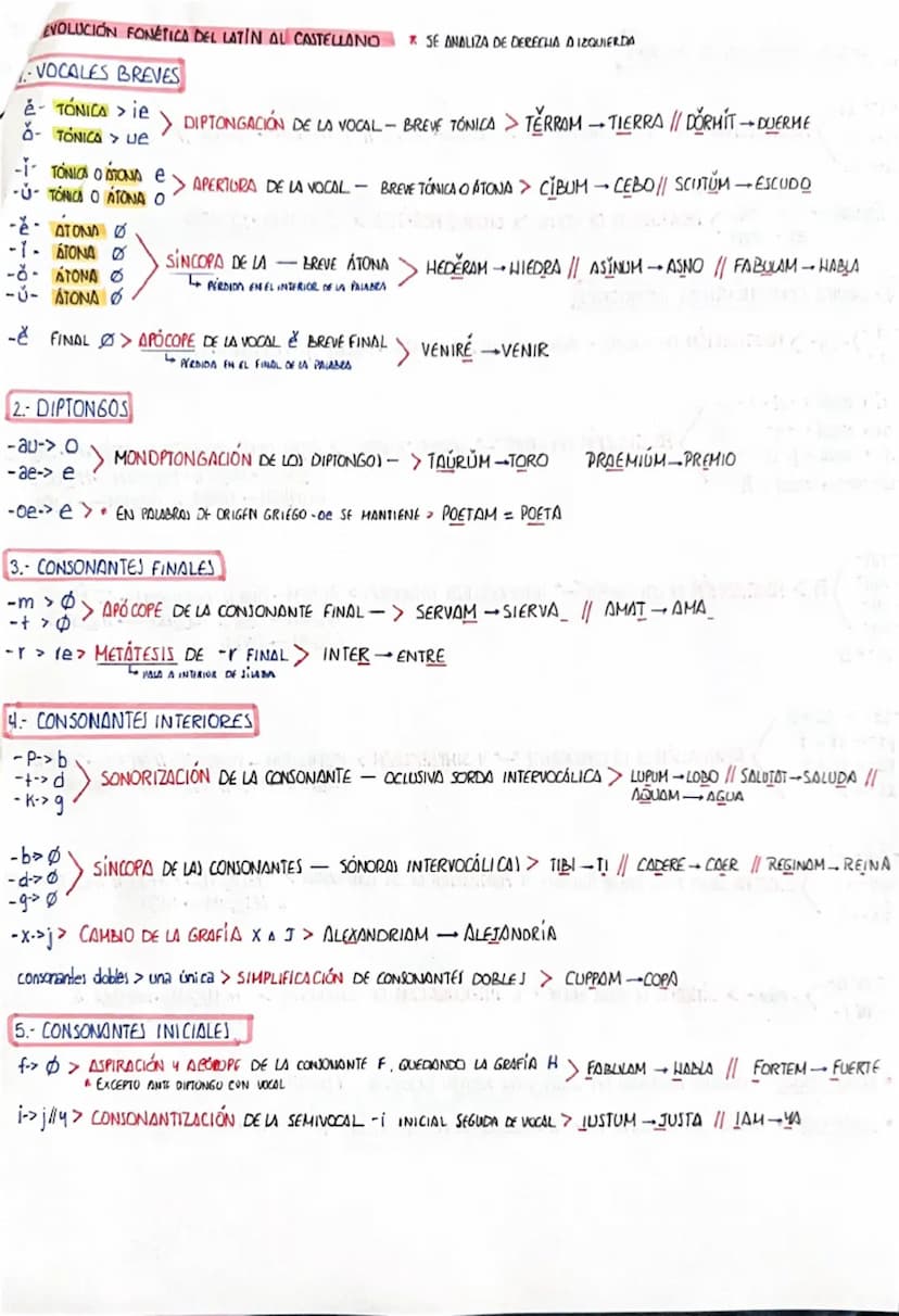 LATIN
①FUNCIONES SINTÁCTICAS
⚫NOMINATIVO
•VOCATIVO
ACUSATIVO
GENITIVO
DATIVO
ABLATIVO
SUJETO ATRIBUTO
APELACIÓN
• C.D // PREP. + ACC. = C.C 