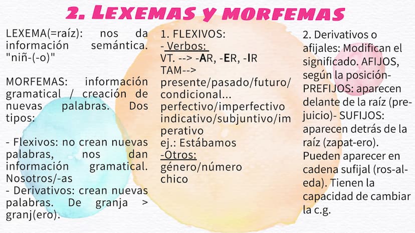 MORFOLOGÍA
El análisis morfológico y las clases de palabras 1. LOS PROCESOS DE
FORMACIÓN DE PALABRAS
MORFOLOGÍA LÉXICA Y FLEXIVA
Morfología 