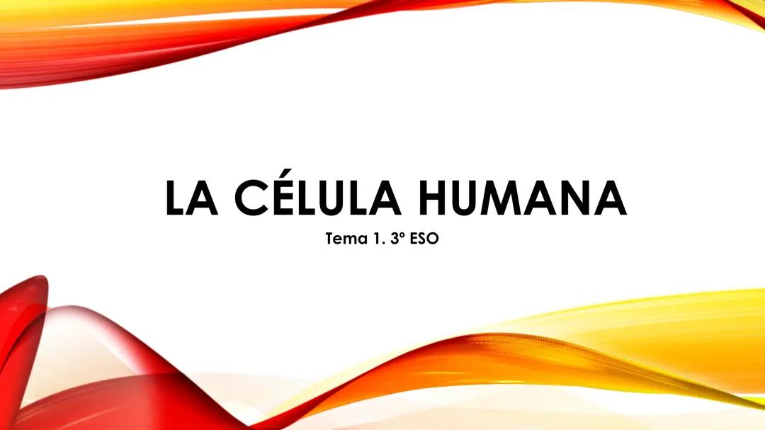La célula humana; 3o ESO
