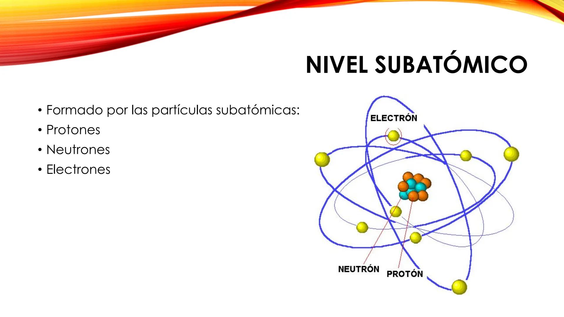 LA CÉLULA HUMANA
Tema 1. 3º ESO NIVELES DE ORGANIZACIÓN DE LA MATERIA
Los definimos como cada uno de los grados de complejidad en los que se