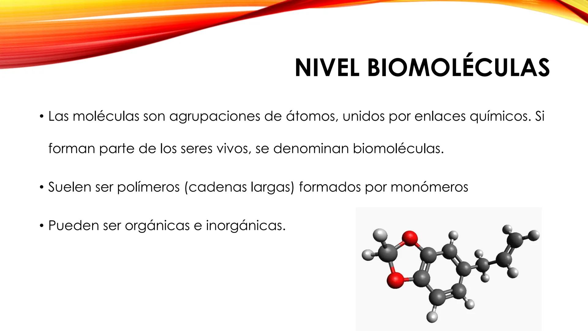 LA CÉLULA HUMANA
Tema 1. 3º ESO NIVELES DE ORGANIZACIÓN DE LA MATERIA
Los definimos como cada uno de los grados de complejidad en los que se