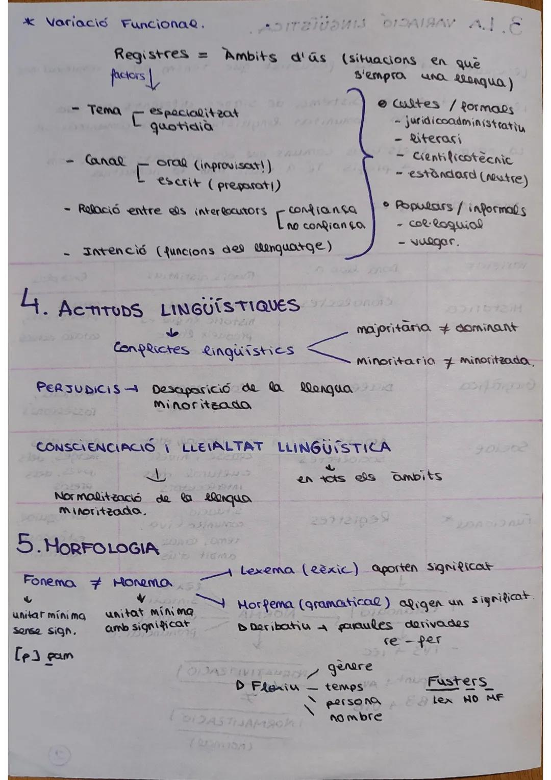 ARUTARATI.S.
T2: LA HISTORIOGRAFIA
MEDIEVAL.

1. HISTÒRIA DE LA LLENGUA I DE LA LITERATURA

- En 1213 mor Pere I el catòlic en la batalla de