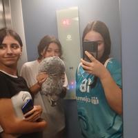 user profile picture