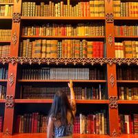 user profile picture