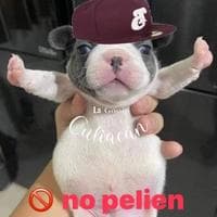 user profile picture