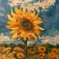 user profile picture