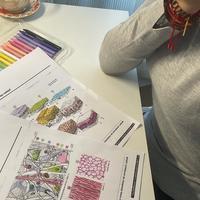 user profile picture