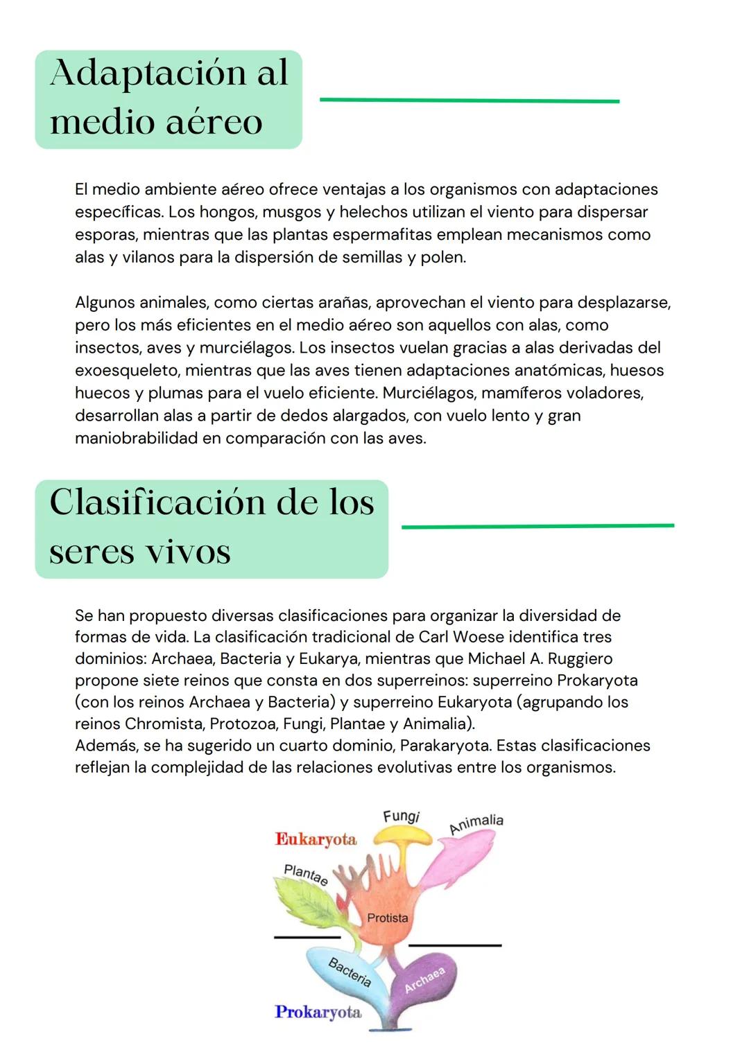 8
w
you
TEMA 1
EVOLUCIÓN
P TEORIAS EVOLUTIVAS
Lamark: herencia de caracteres
adquiridos
• Las especies mutan por factores medioambientales
•