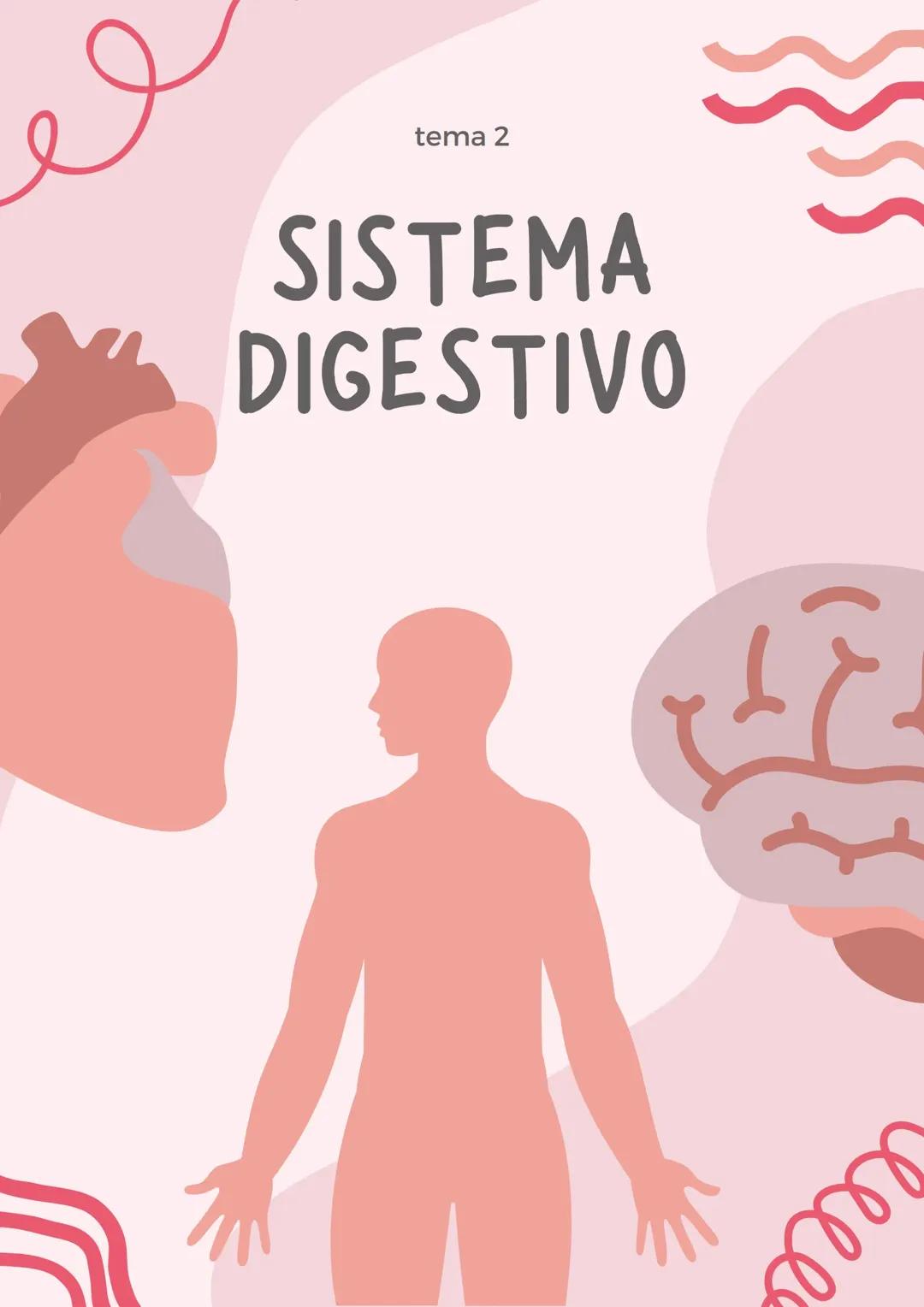 Tema 2: Sistema digestivo