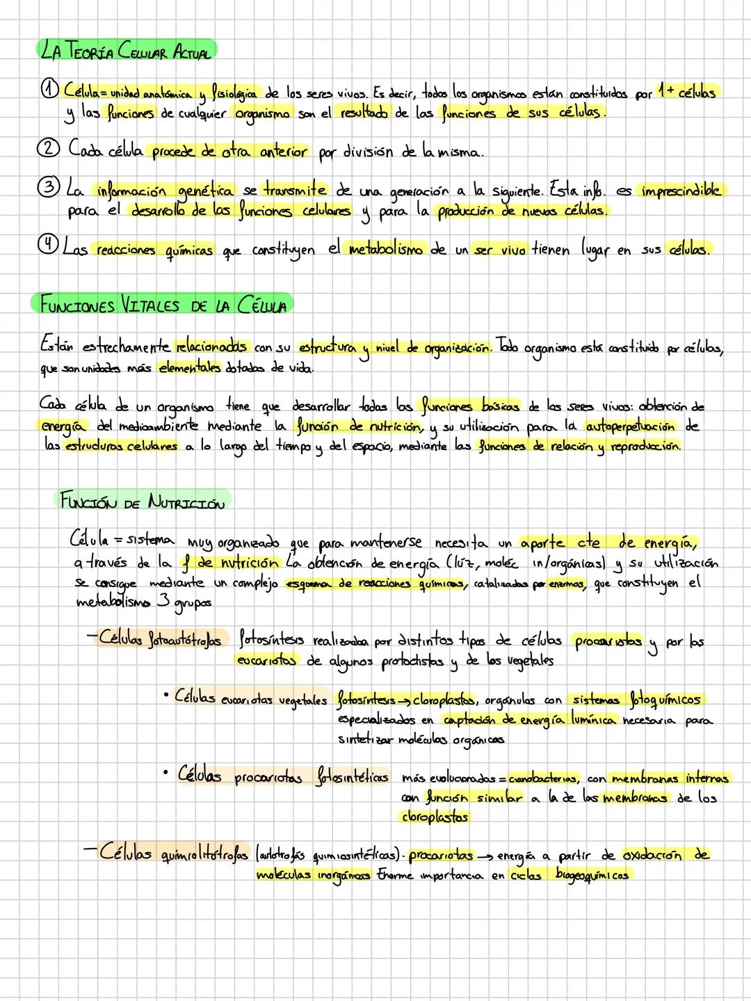 LA CELULA EUCARIOTA.
doble membrana
Su material
se encuentra en un núcleo separado del citoplasma por una
genetico
Tamaño mayor y organicaci