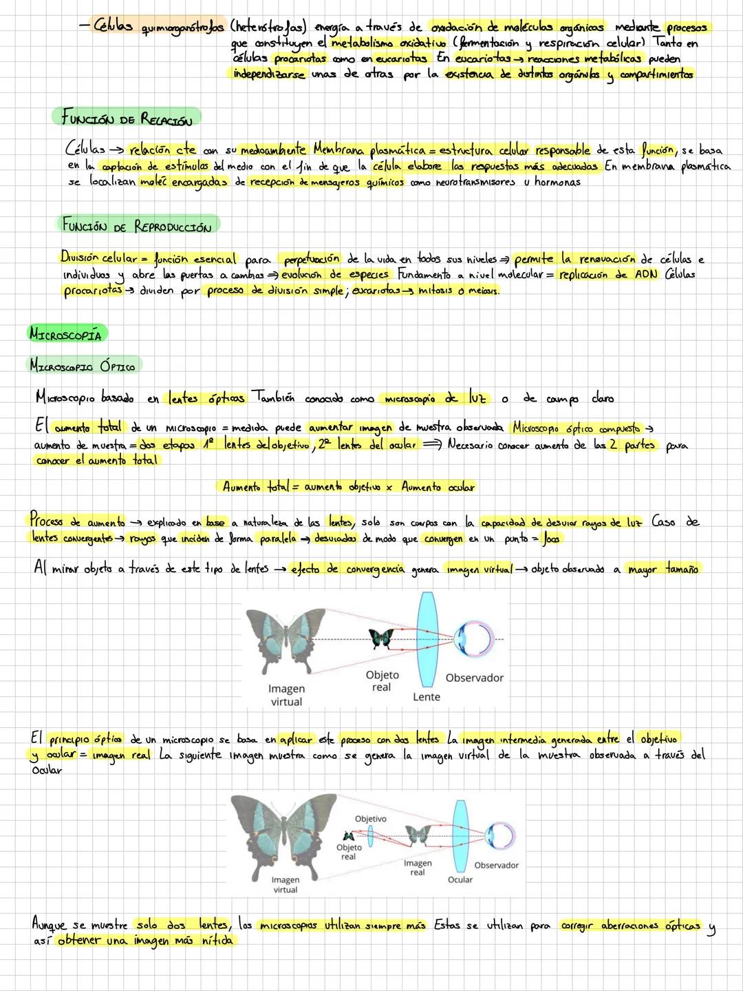 LA CELULA EUCARIOTA.
doble membrana
Su material
se encuentra en un núcleo separado del citoplasma por una
genetico
Tamaño mayor y organicaci