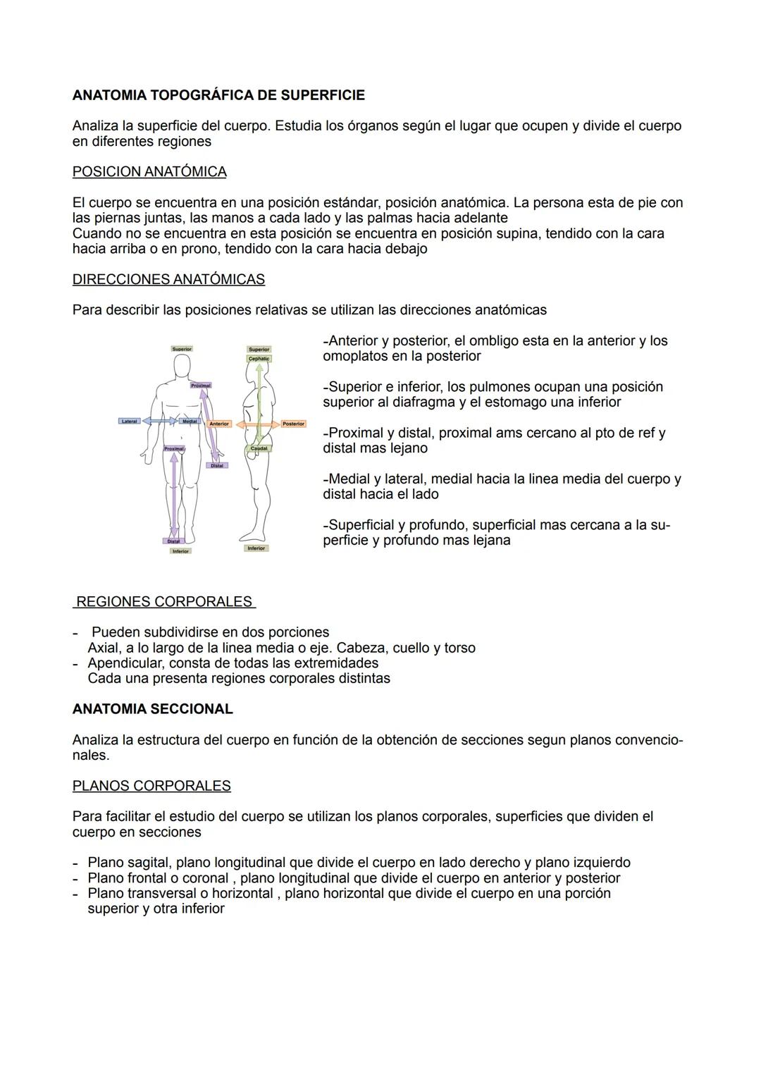 ANATOMÍA
TEMA 1; EL CUERPO HUMANO
CARACTERÍSTICAS
Complejidad química, estructuras complejas que no aparecen en estructuras inertes
Metaboli