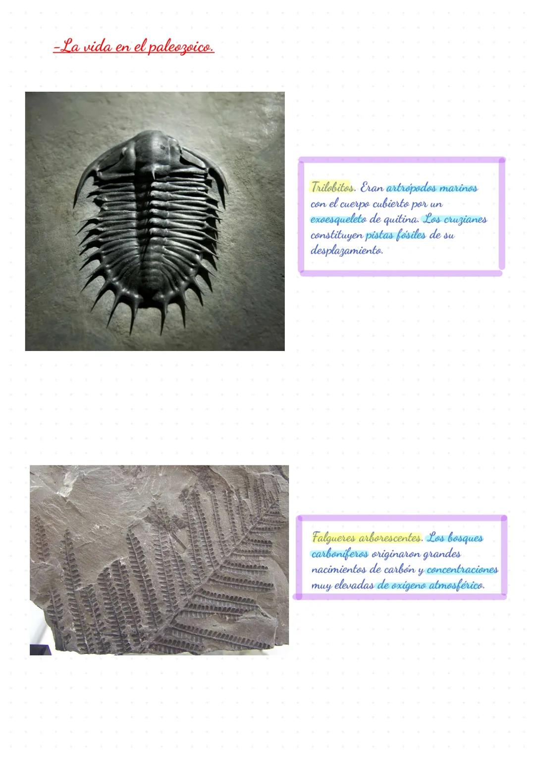 Apuntes
Biologia
Geologia Biologia y Geologia Tema 3: La historia de la Tierra
1. Los cambios que ocurren en la Tierra p.58
●
Cambio climáti