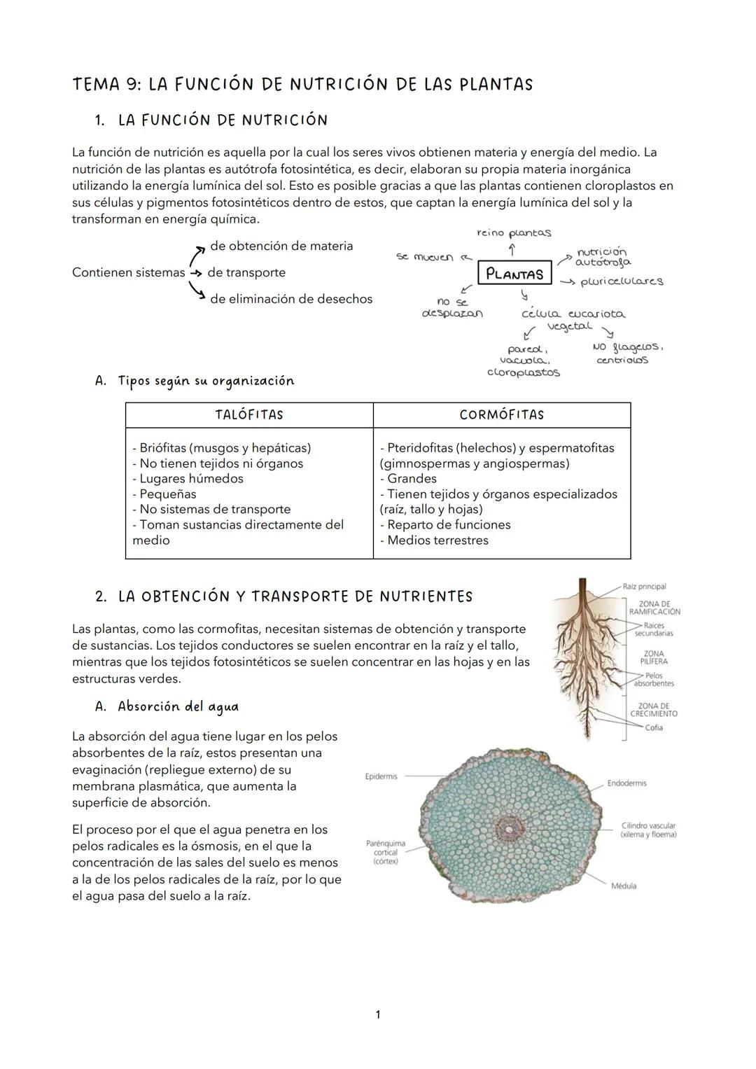 # TEMA 9: LA FUNCIÓN DE NUTRICIÓN DE LAS PLANTAS
1. LA FUNCIÓN DE NUTRICIÓN
La función de nutrición es aquella por la cual los seres vivos