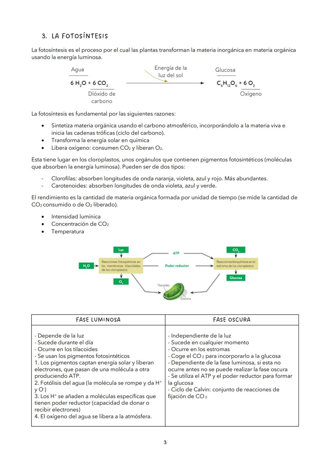 # TEMA 9: LA FUNCIÓN DE NUTRICIÓN DE LAS PLANTAS
1. LA FUNCIÓN DE NUTRICIÓN
La función de nutrición es aquella por la cual los seres vivos