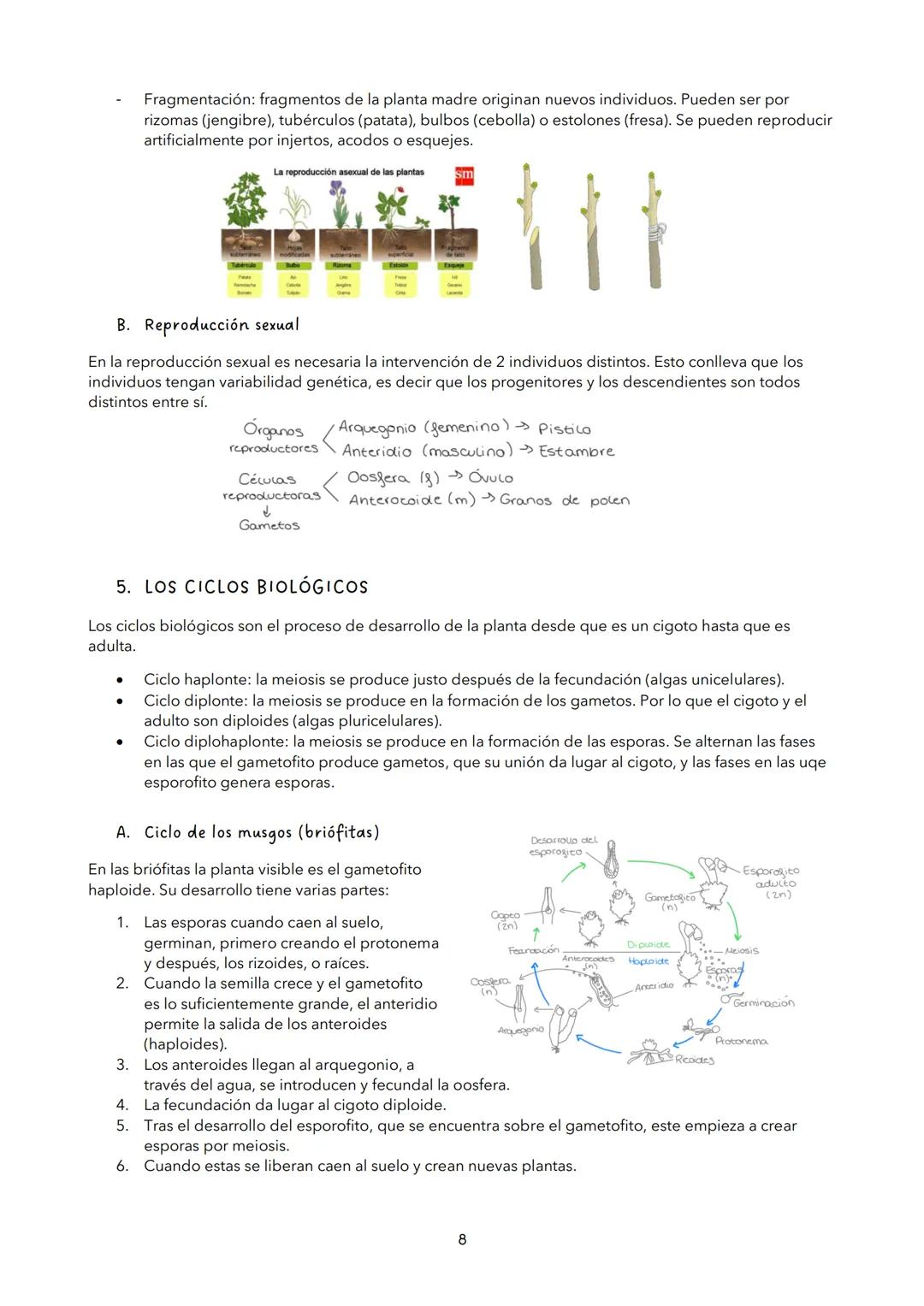 # TEMA 9: LA FUNCIÓN DE NUTRICIÓN DE LAS PLANTAS
1. LA FUNCIÓN DE NUTRICIÓN
La función de nutrición es aquella por la cual los seres vivos
