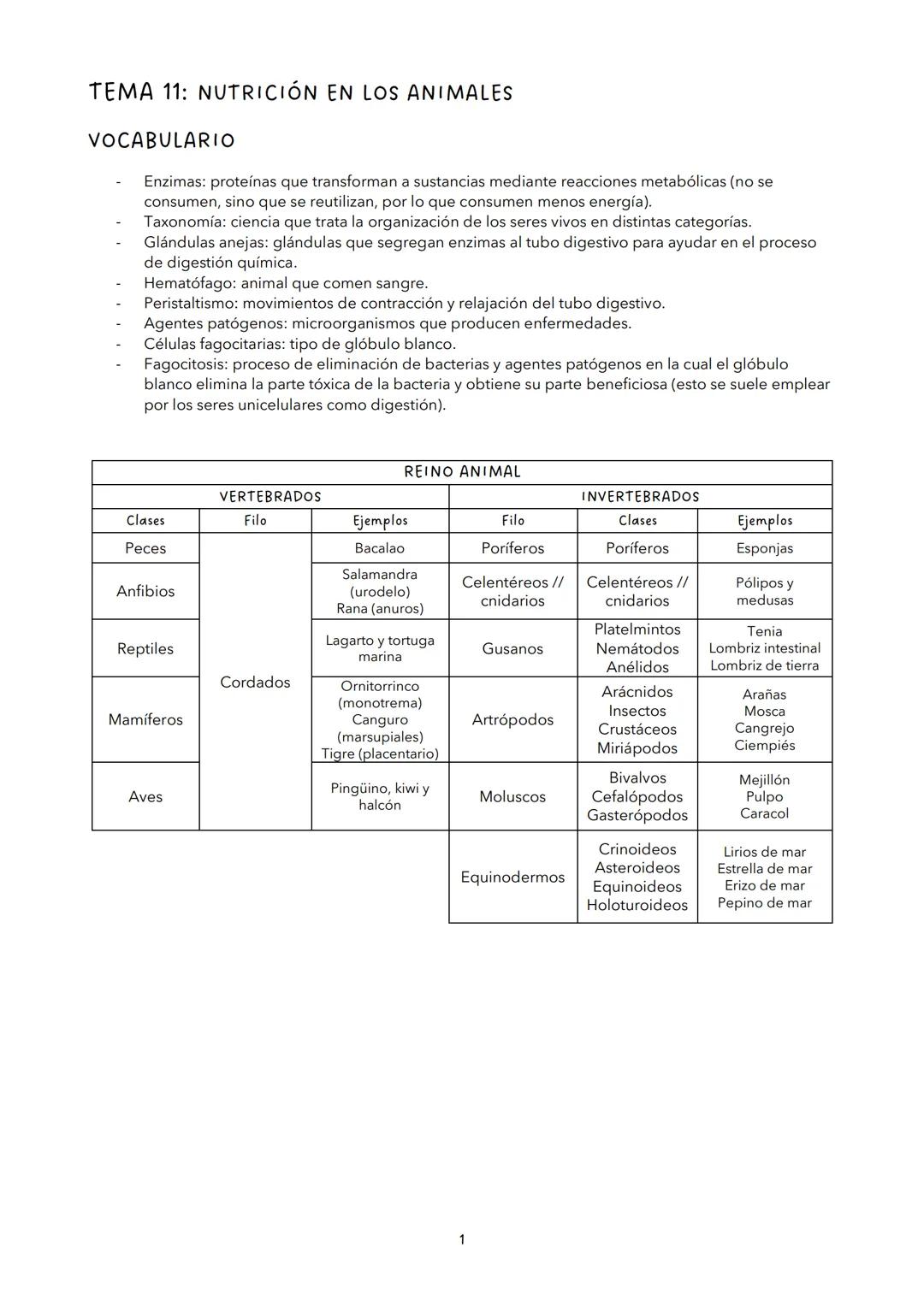 TEMA 11: NUTRICIÓN EN LOS ANIMALES
VOCABULARIO
Enzimas: proteínas que transforman a sustancias mediante reacciones metabólicas (no se
consum