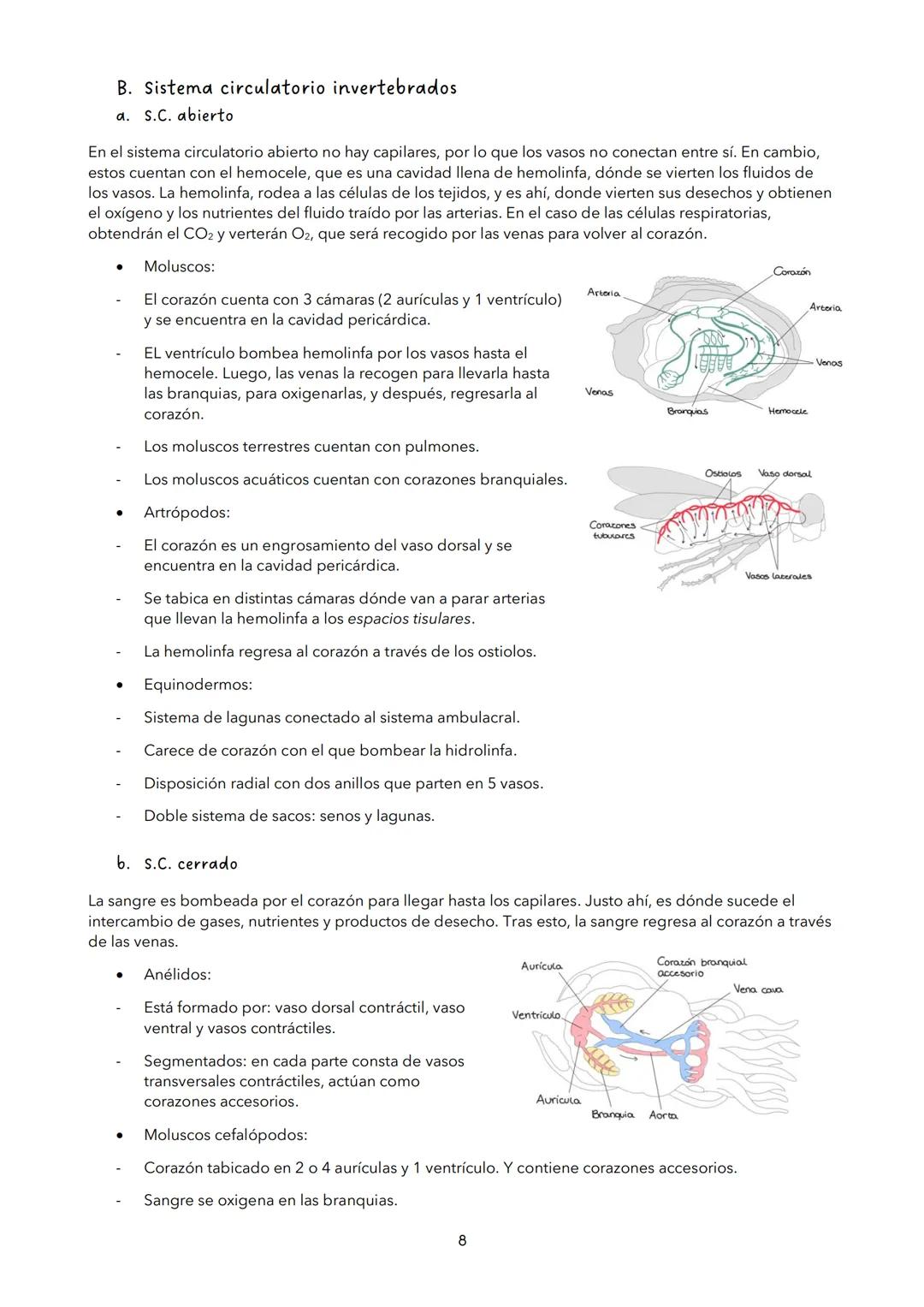 TEMA 11: NUTRICIÓN EN LOS ANIMALES
VOCABULARIO
Enzimas: proteínas que transforman a sustancias mediante reacciones metabólicas (no se
consum