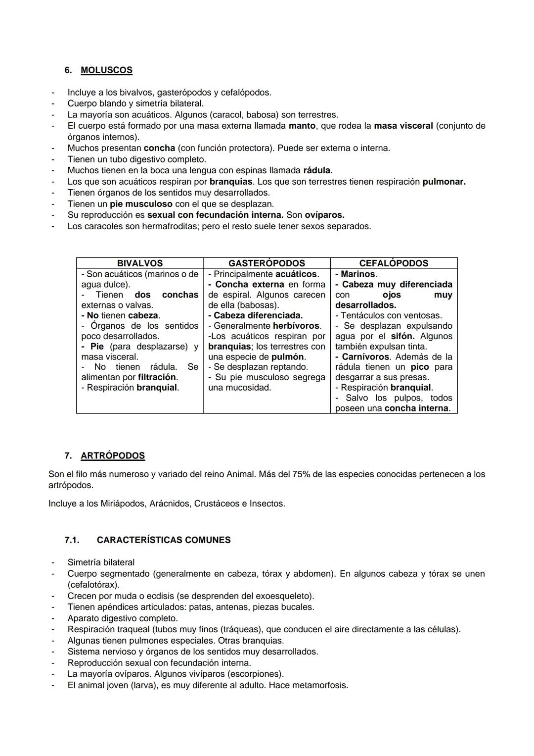 1. ¿QUÉ SON LOS ANIMALES?
Los animales son organismos pluricelulares formados por células eucariotas animales y con nutrición
heterótrofa.
1