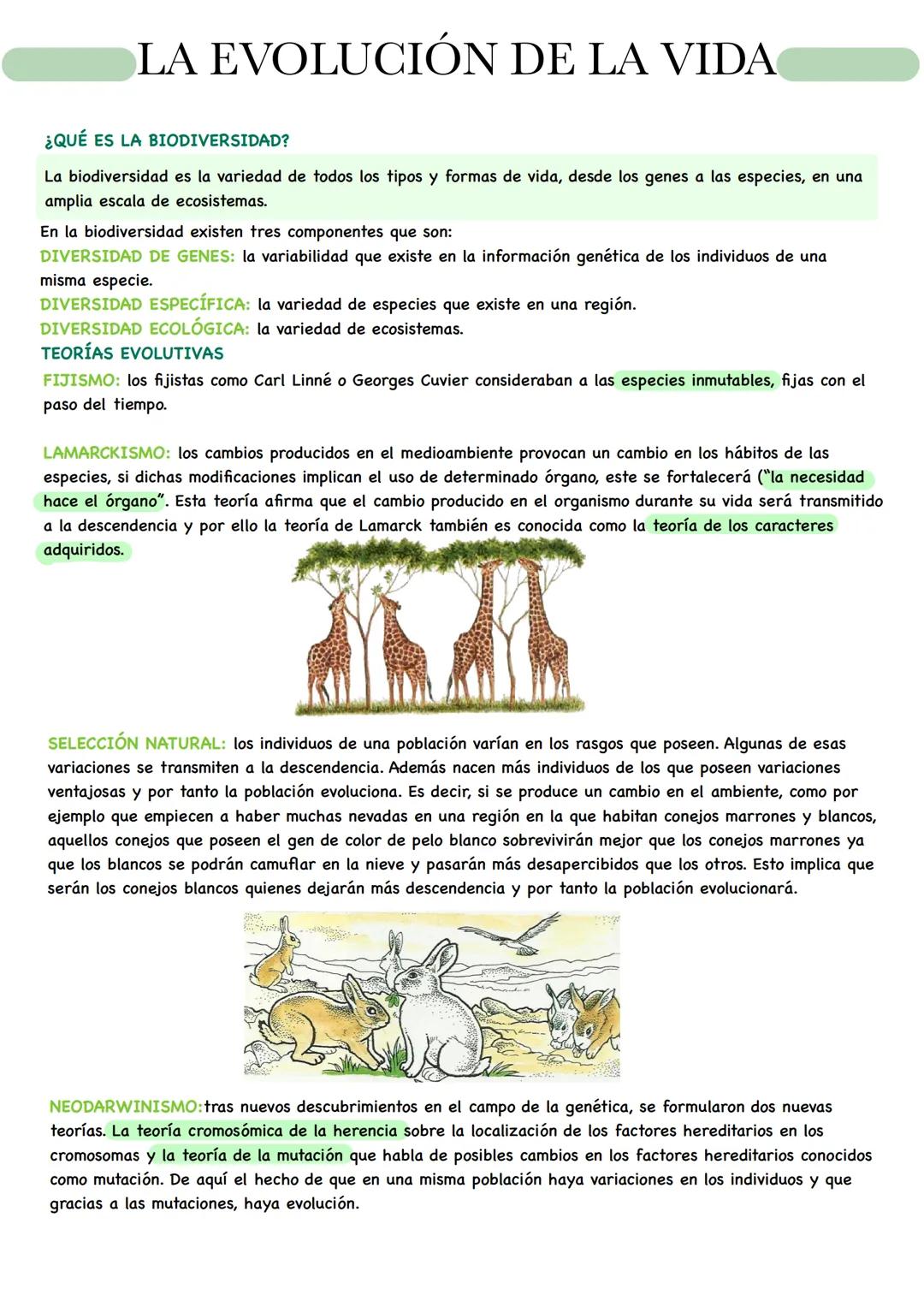 D
BIOLOGÍA LA EVOLUCIÓN DE LA VIDA
¿QUÉ ES LA BIODIVERSIDAD?
La biodiversidad es la variedad de todos los tipos y formas de vida, desde los