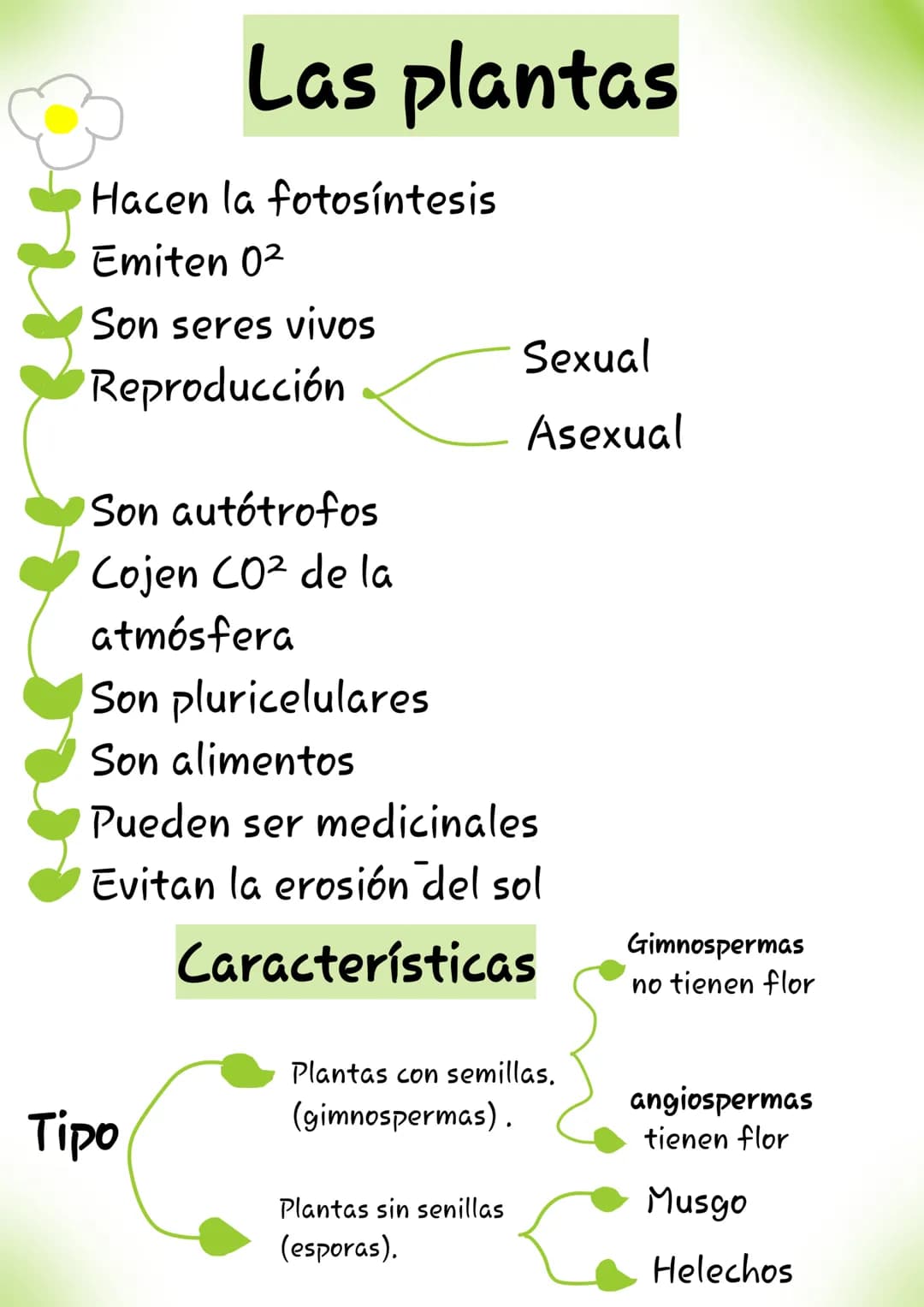 # Las plantas
- Hacen la fotosíntesis
- Emiten 02
- Son seres vivos
- Reproducción
- Sexual
- Asexual
- Son autótrofos
- Cojen CO2 de l