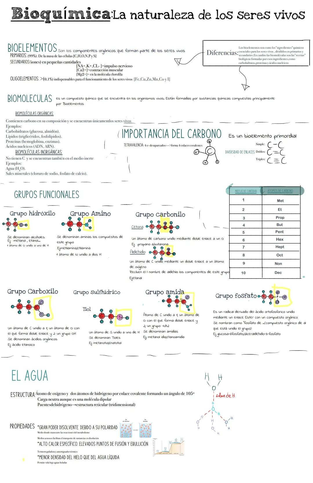 Bioquímica