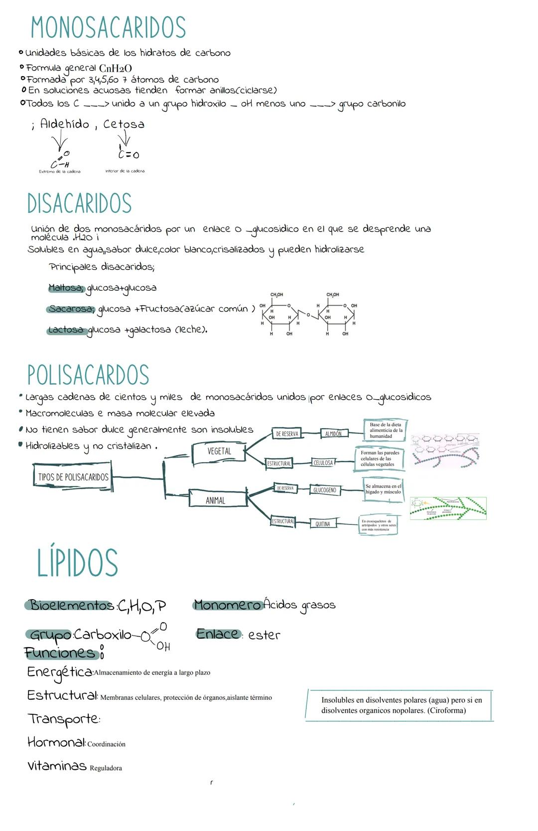 Bioquímica:La naturaleza de los seres vivos
BIOELEMENTOS Son los componentes orgánicos que forman parte de los seres vivos
PRIMARIOS (99%).