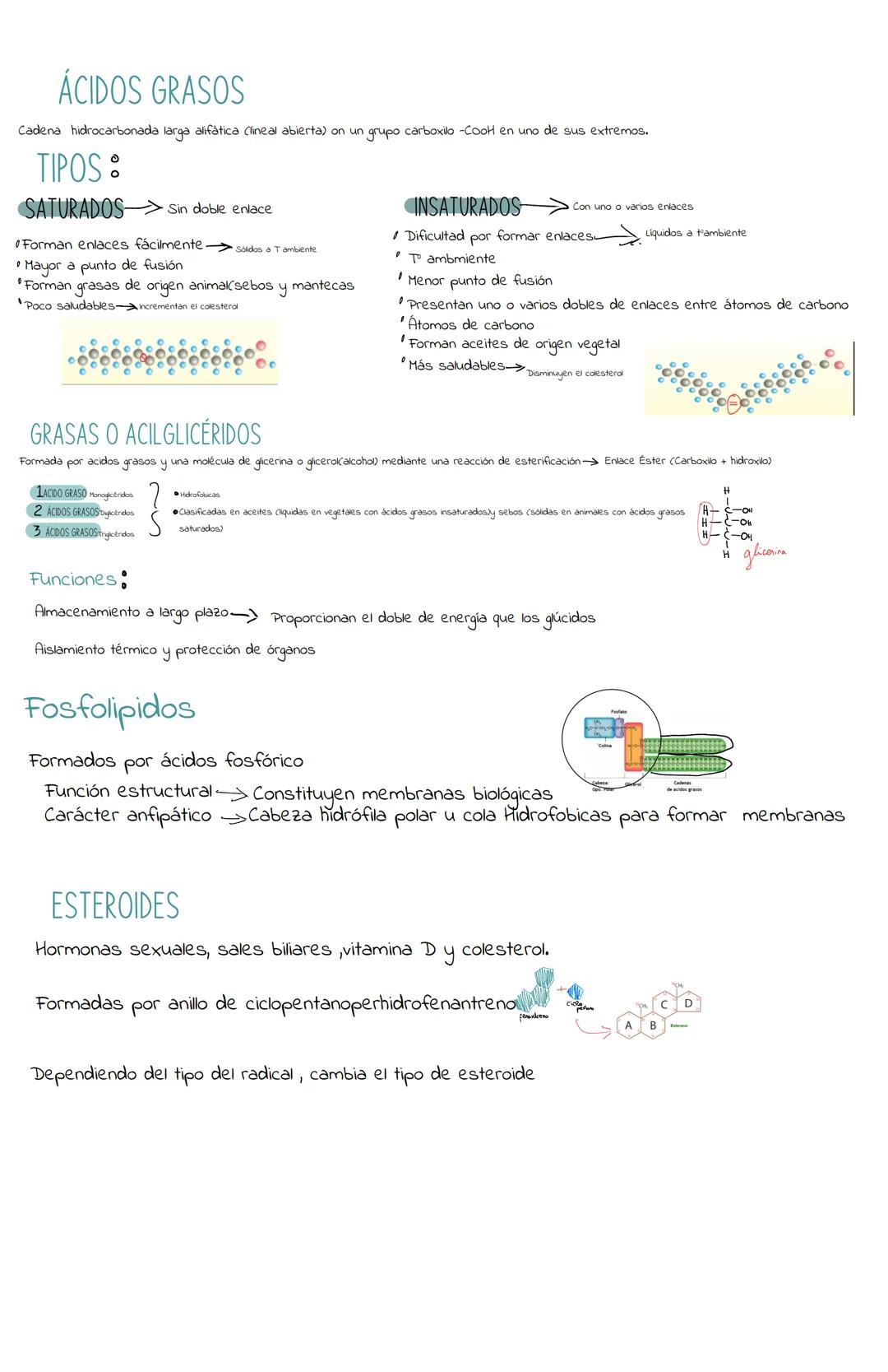 Bioquímica:La naturaleza de los seres vivos
BIOELEMENTOS Son los componentes orgánicos que forman parte de los seres vivos
PRIMARIOS (99%).