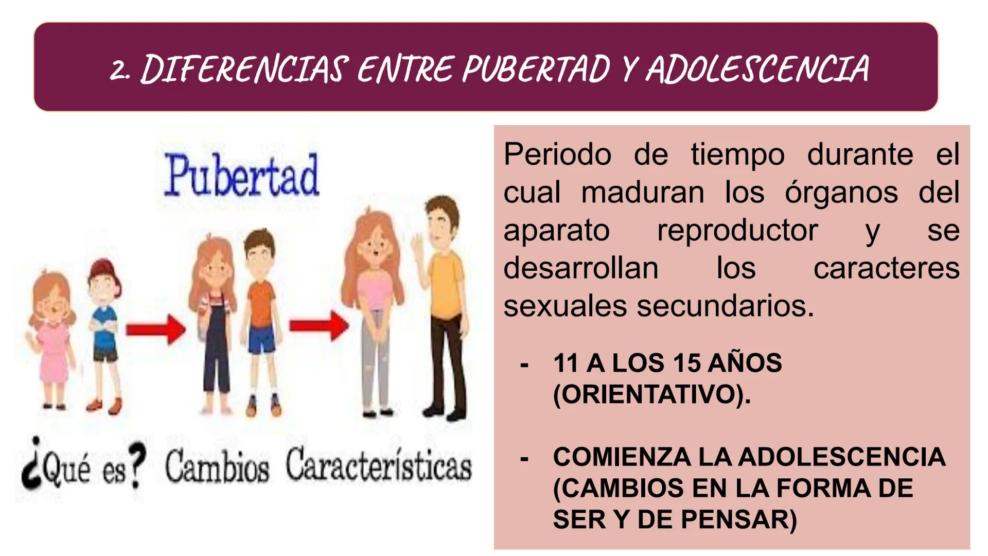 # SA. 6 LA FUNCIÓN DE REPRODUCCIÓN # 1. LAS CARACTERÍSTICAS SEXUALES
LOS CARACTERES SEXUALES
PRIMARIOS
SECUNDARIOS
ÓRGANOS DEL
APARATO
C