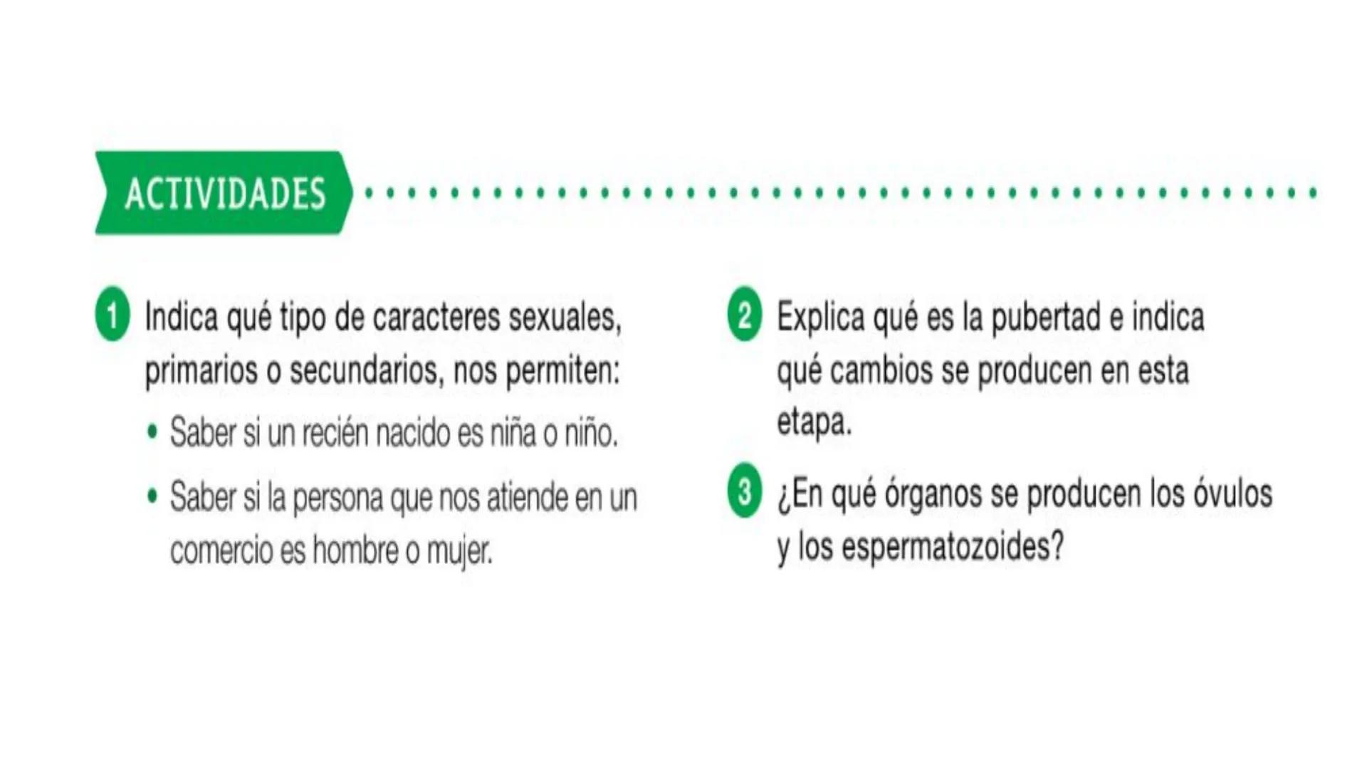 # SA. 6 LA FUNCIÓN DE REPRODUCCIÓN # 1. LAS CARACTERÍSTICAS SEXUALES
LOS CARACTERES SEXUALES
PRIMARIOS
SECUNDARIOS
ÓRGANOS DEL
APARATO
C